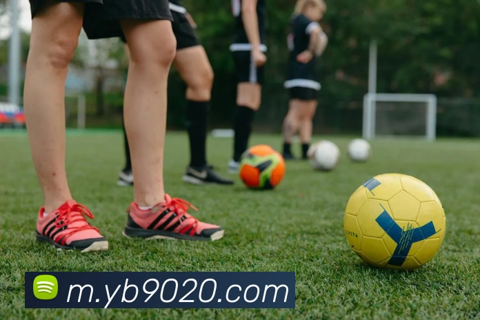 云顶国际APP 封面图